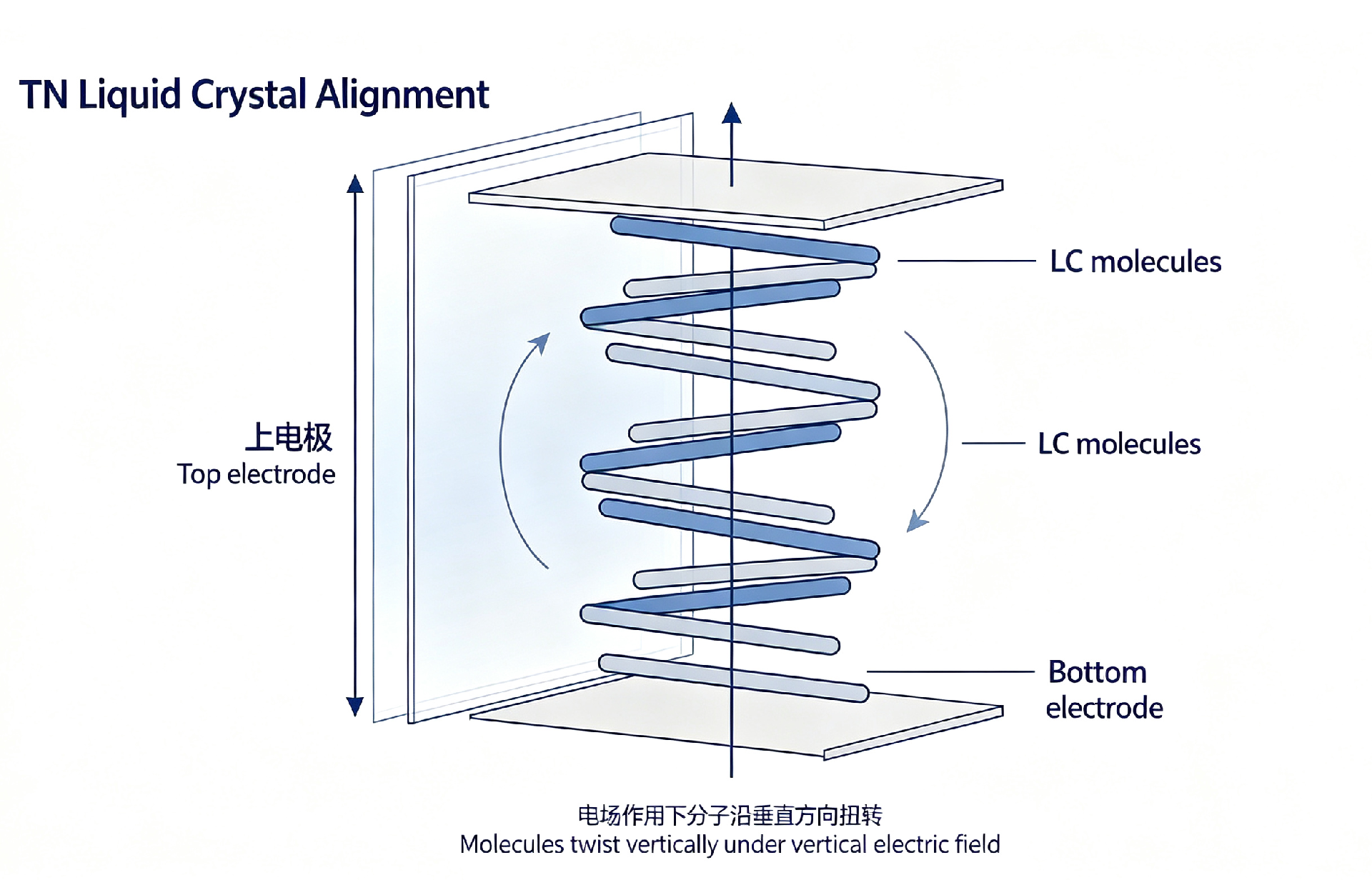 TN (Twisted Nematic) Liquid Crystal.png
